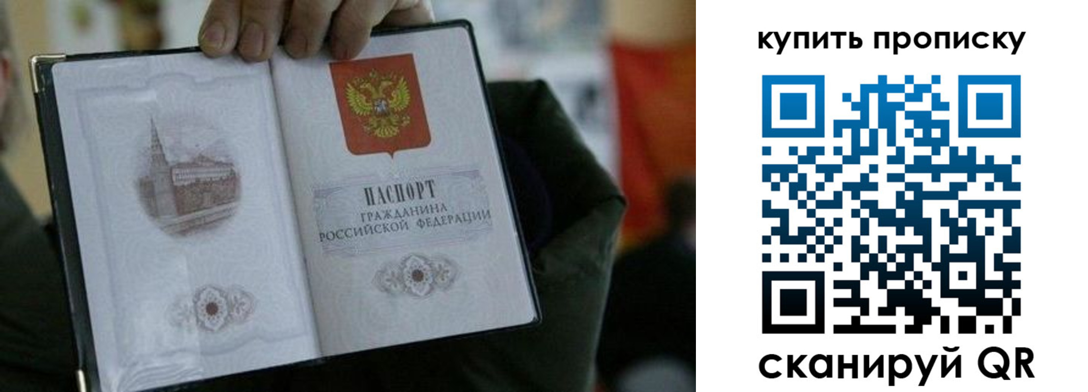 временная регистрация поиск в Калининграде
